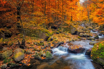 fall creek
