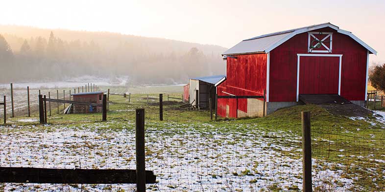 farm field with barn