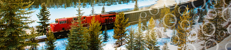 Train moving through forest in the winter.