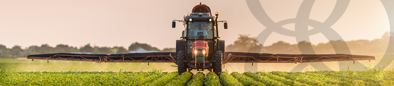 Pulvérisateur de pesticides par tracteur sur le champ de soja au printemps