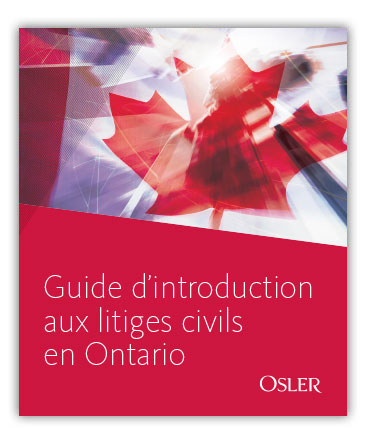 Introductory Guide to Civil Litigation in Ontario