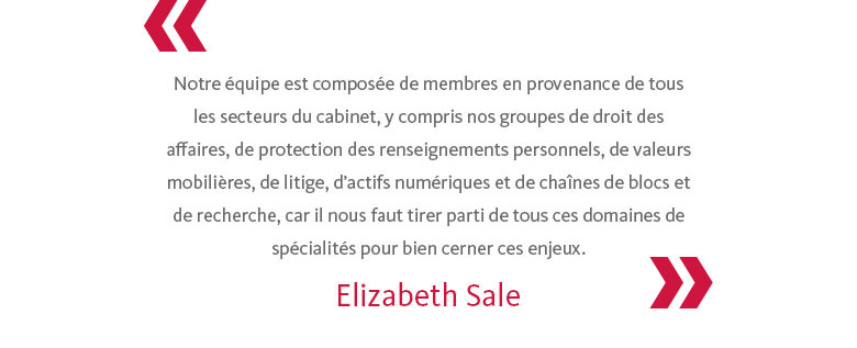 Notre équipe est composée de membres en provenance de tous les secteurs du cabinet, y compris nos groupes de droit des affaires, de protection des renseignements personnels, de valeurs mobilières, de litige, d'actifs numériques et de chaînes de blocs et de recherche, car il nous faut tirer parti de tous ces domaines de spécialités pour bien cerner ces enjeux