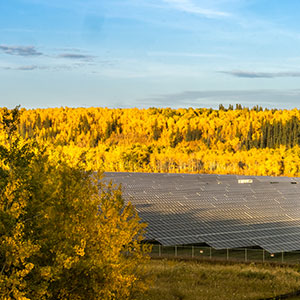 solar farm 