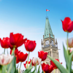 Canadian parliament in the spring