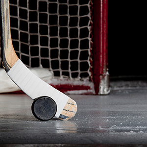 Hockey Stick, puck, and net
