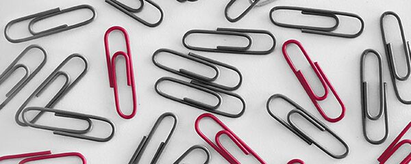 2019 Diversity Disclosure Practices