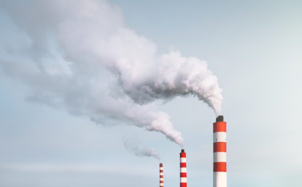 Un cheval de Troie à la porte : la Cour d’appel de l’Alberta juge inconstitutionnelle la taxe fédérale sur le carbone