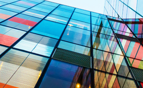 2020 Diversity Disclosure Practices