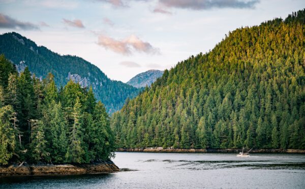 British Columbia Supreme Court issues precedent-setting cumulative effects decision