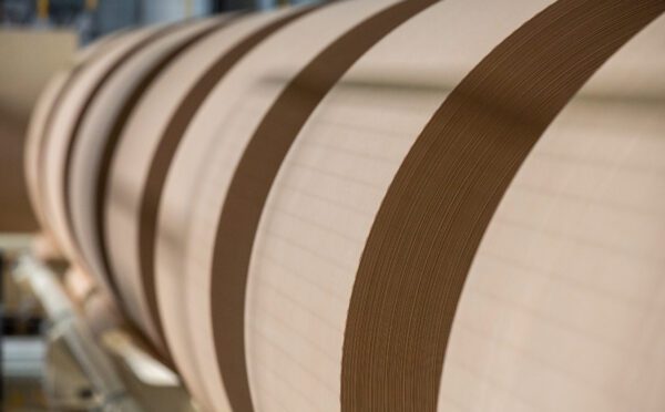 La Cour d’appel du Québec rend une décision au sujet des opérations de consolidation de pertes