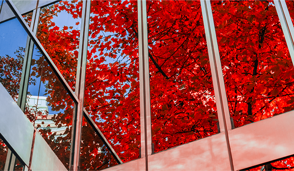 A tempest of change: impact of climate-related litigation and regulation