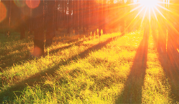 Energy transition ushers in compensation claims for shifting land use plans