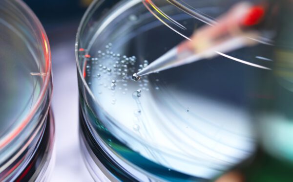 Six avocats d’Osler figurant dans le classement du Who’s Who Legal Life Sciences — Canada