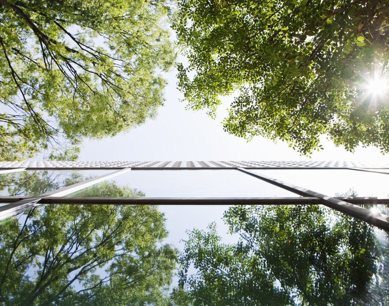 Pratiques commerciales trompeuses