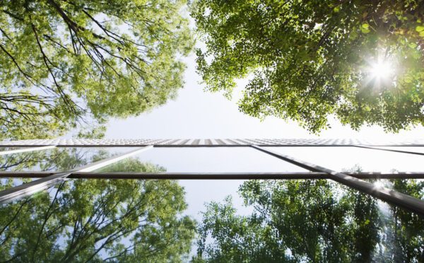 Pratiques commerciales trompeuses :toujours une priorité eu égard à l’application de la loi