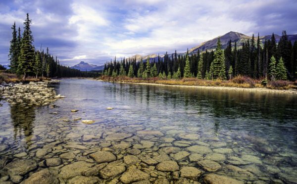 Regards sur le droit autochtone : un aperçu des jugements déclaratoires et des critères déclenchant l’obligation de consulter