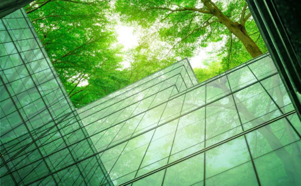 Des changements progressifs au cours d’une année historique à l’égard de l’activité des marchés des capitaux