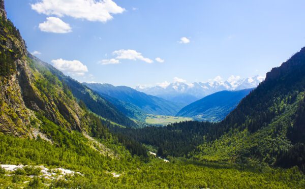 Indigenous Law Insights: Federal UNDRIP action plan update and the importance of consultation in Indigenous negotiations