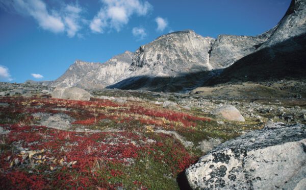 Le Nunavut prend le contrôle des terres publiques situées sur son territoire à la suite de la conclusion d’une entente sur le transfert des responsabilités avec le Canada