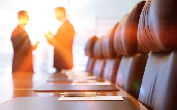 Director Briefing — Stakeholder Engagement