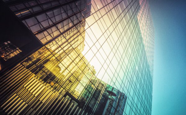 La CSC confirme l’immunité limitée du gouvernement concernant l’adoption de lois qui enfreignent la Charte.