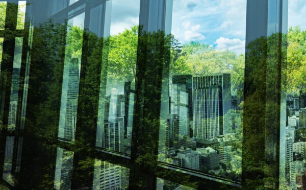 ESG trends in venture capital: governance matters