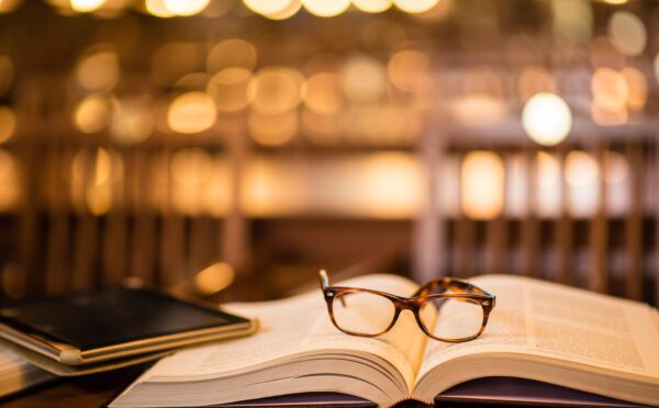 Legislative Update Report No. 2025-22 Le Bulletin d’actualités législatives