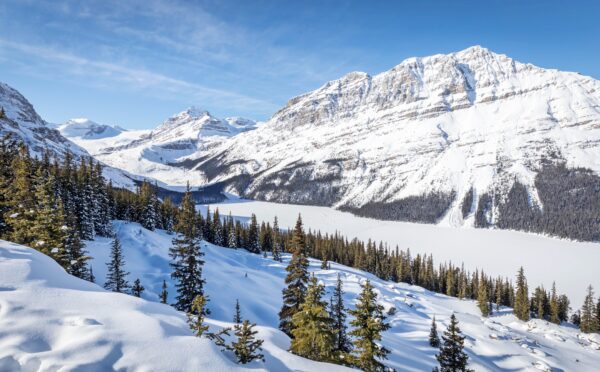 Osler receives top rankings in 2025 edition of Chambers Canada