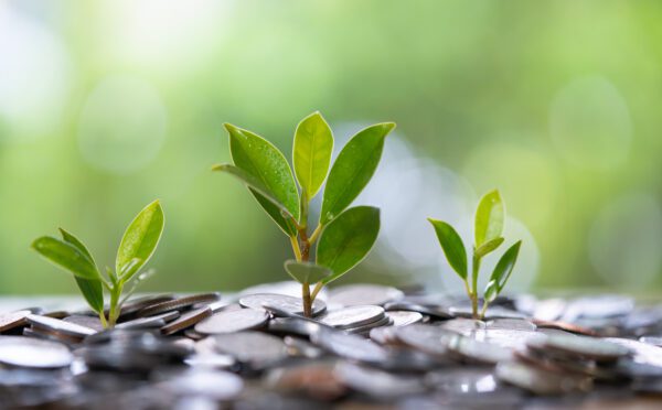 Le gouvernement fédéral prévoit une obligation de présenter des informations liées au changement climatique pour les grandes sociétés privées régies par la LCSA et l’adoption de lignes directrices volontaires sur l’investissement durable