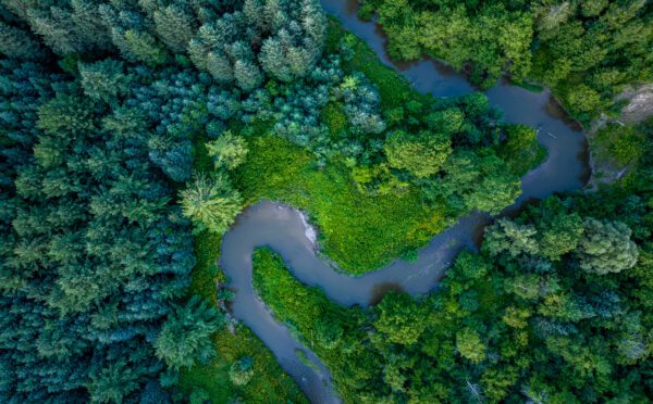 Nouvelle audience pour une contestation historique fondée sur la Charte et menée par des jeunes visant la Loi annulant le programme de plafonnement et d’échange de l’Ontario