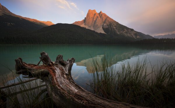 All roads lead to the Crown: the intersection of Aboriginal title and fee simple land