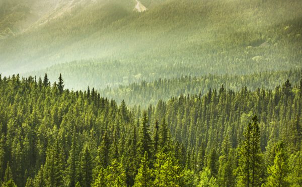 Osler lance un blogue sur le droit autochtone