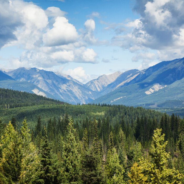 Indigenous Law Insights – January 2026