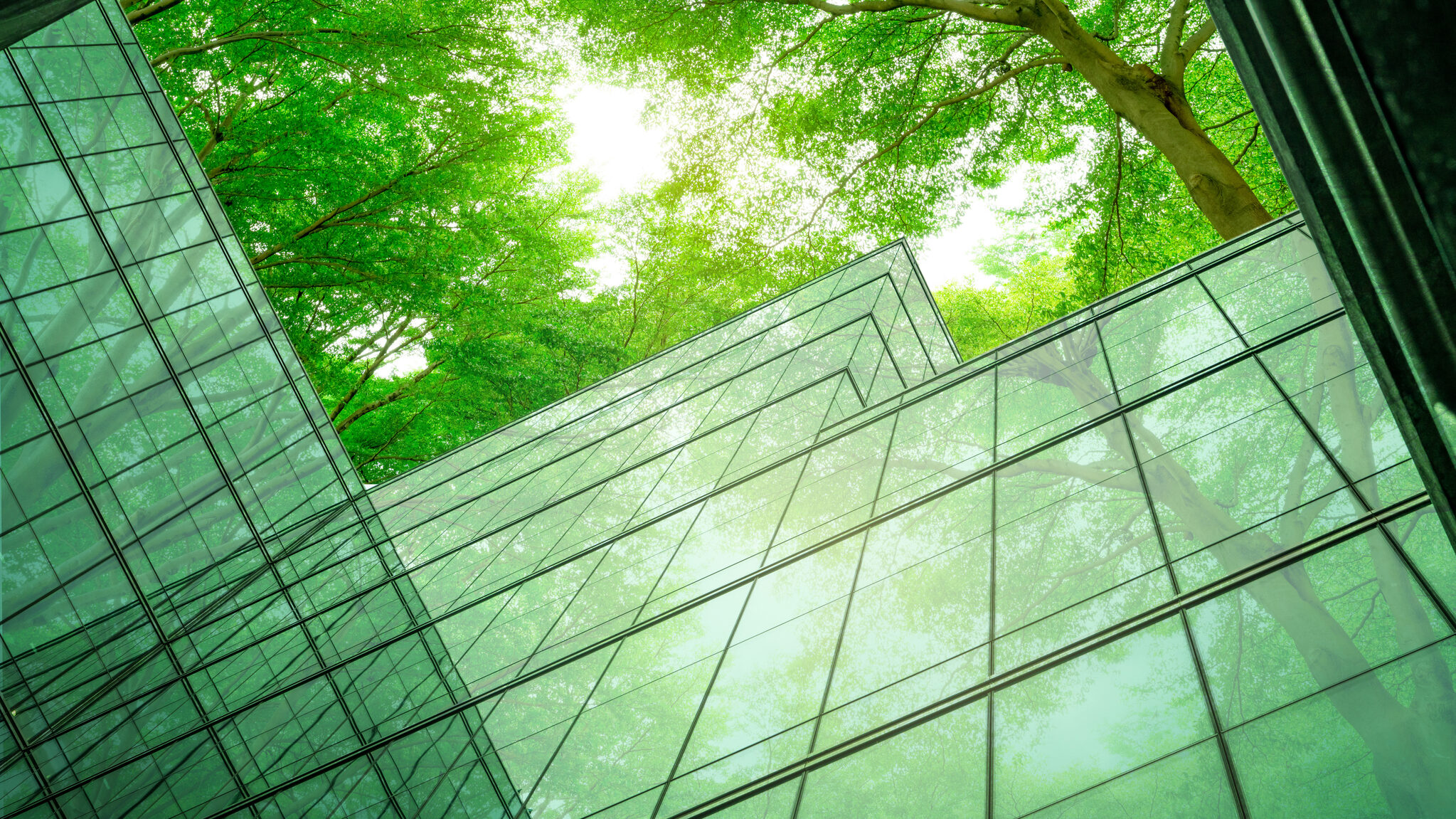 Eco-friendly building in the modern city. Sustainable glass office building with tree for reducing heat and carbon dioxide. Office building with green environment. Corporate building reduce CO2.