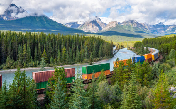 International trade: navigating the rapidly changing landscape