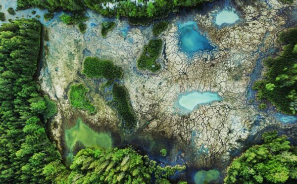 UNDRIP in B.C. law: Court of Appeal confirms immediate effect and targets mineral claim regime