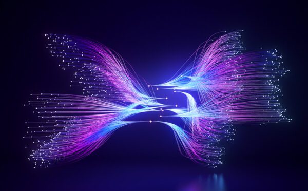 Year-in-review: privacy litigation highlights