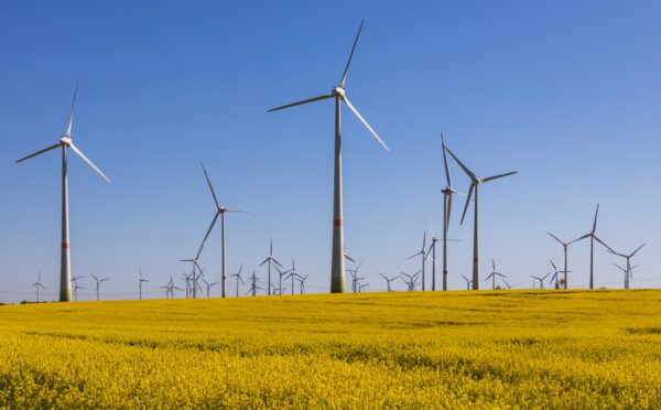 Manitoba Call for Power: update on procurement process for Indigenous majority-owned wind projects