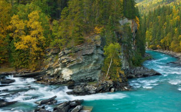 Sealing the sacred: court protects Indigenous cultural information