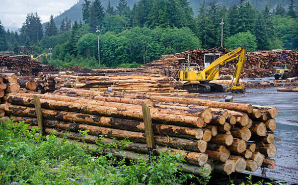 B.C.’s new compliance and enforcement agency reshapes natural resource oversight