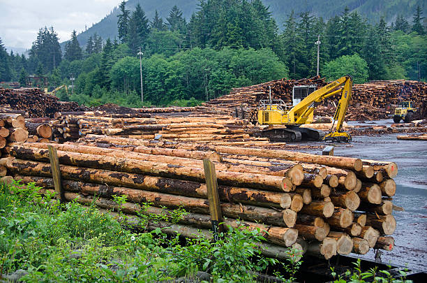 B.C.’s new compliance and enforcement agency reshapes natural resource oversight